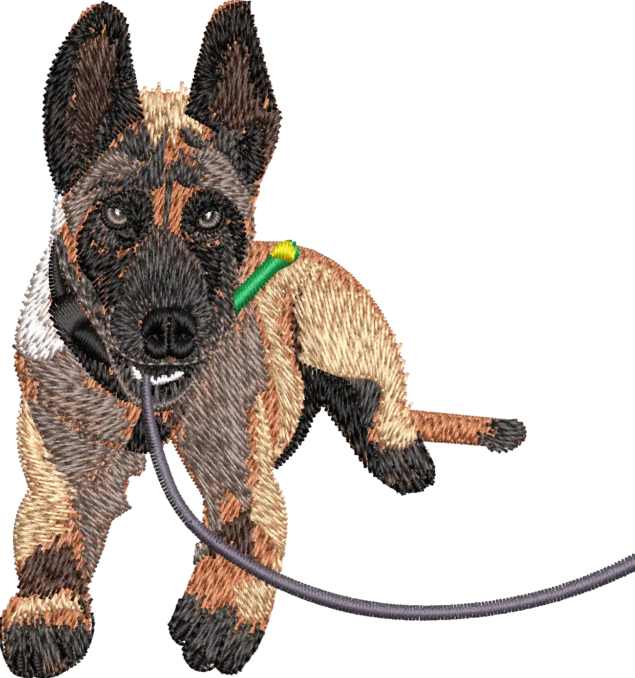 Realistic Dog Embroidery Digitizing
